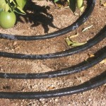 Outside Watering